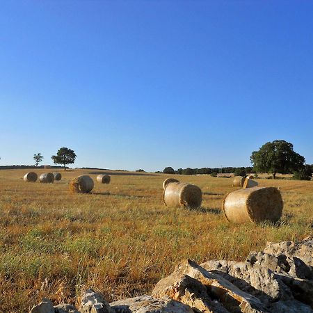 Agriturismo Masseria Casa Busciana Альберобелло Экстерьер фото
